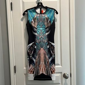 Gorgeous Clover Canyon sheath dress